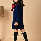 Blue Velvet Charm Dress