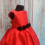 Cherry  Rose Frock