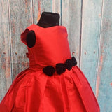 Cherry  Rose Frock