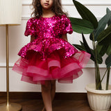 Fuschia Stardust Shimmer Dress