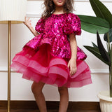 Fuschia Stardust Shimmer Dress