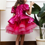 Fuschia Stardust Shimmer Dress