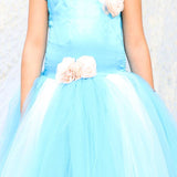 Frozen Themed Dress with Tulle Net