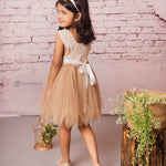 Crochet Tutu Gown for Lil Girls 