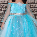 Disney Princess Elsa Dress